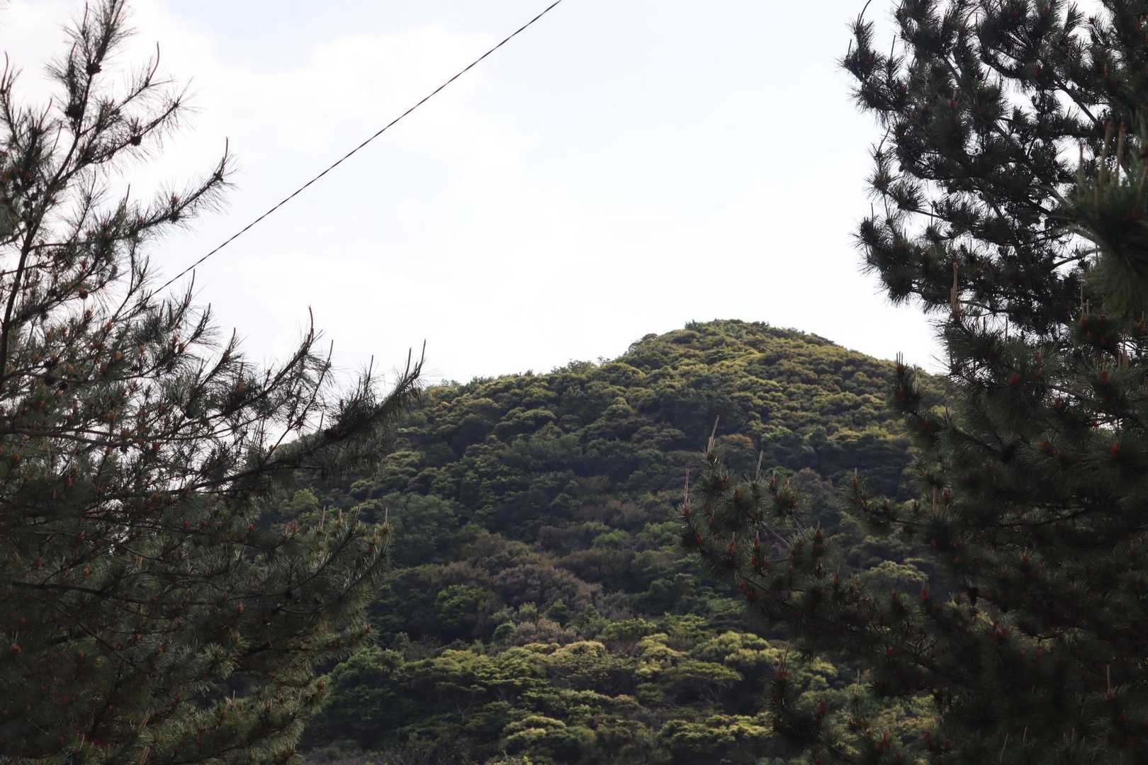 羽島崎
楽しかった🎶😊
