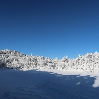 池は完全に凍ってます