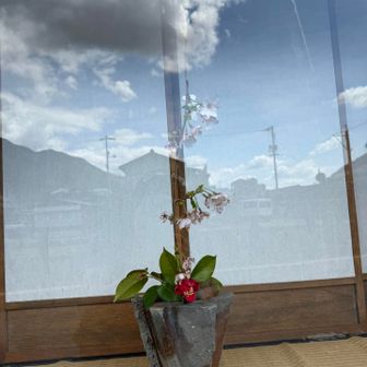 日本のこころ❤️