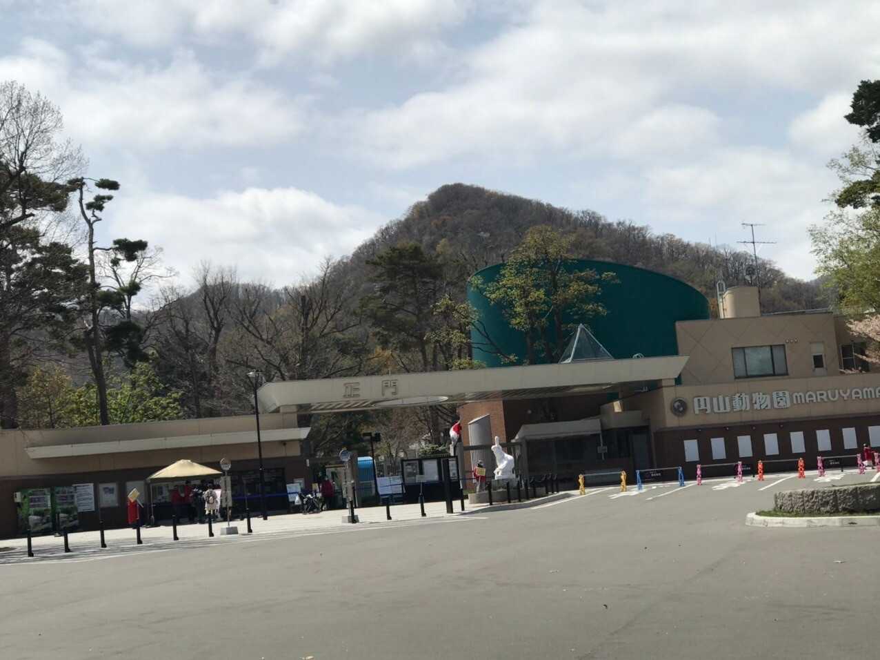 神社山の写真