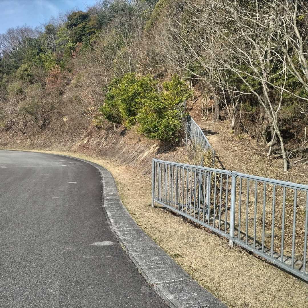 右側から山道へ