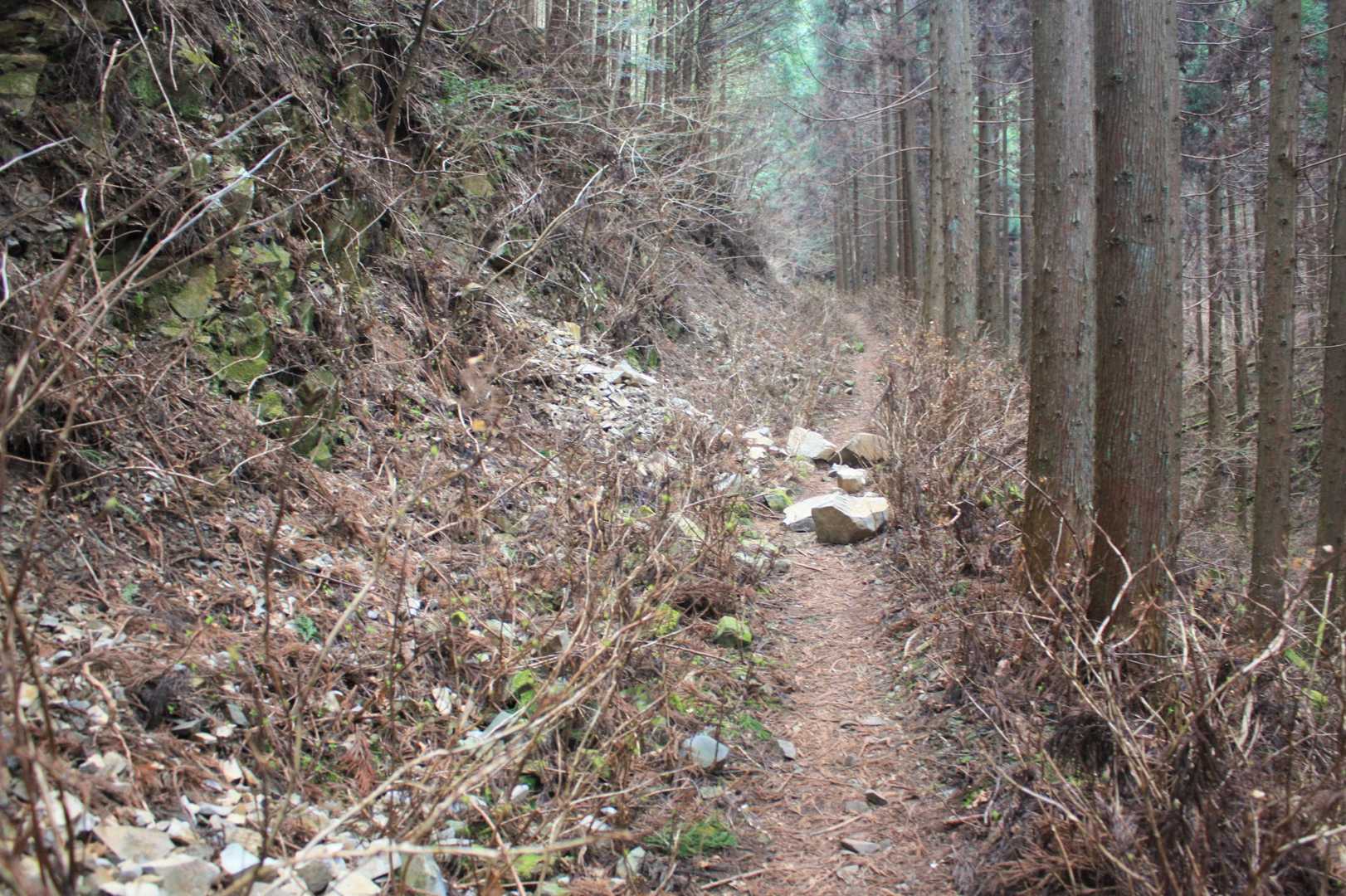 うつぼ沢出合-向山-花瓶山-花瓶沢登山口 周回コースの写真