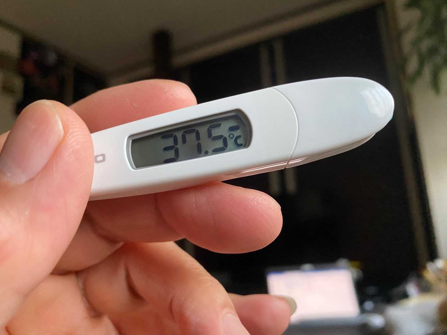さあ定時です。 明日から三連休。 天気は / ぽややん（愛称：ポチ