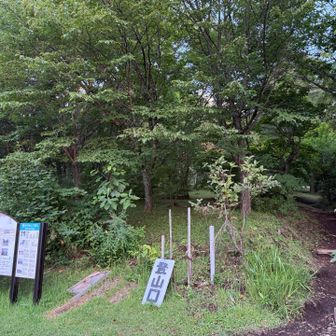 さあ出発します