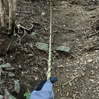 あの…

聞いてません。
まさかのロープ…