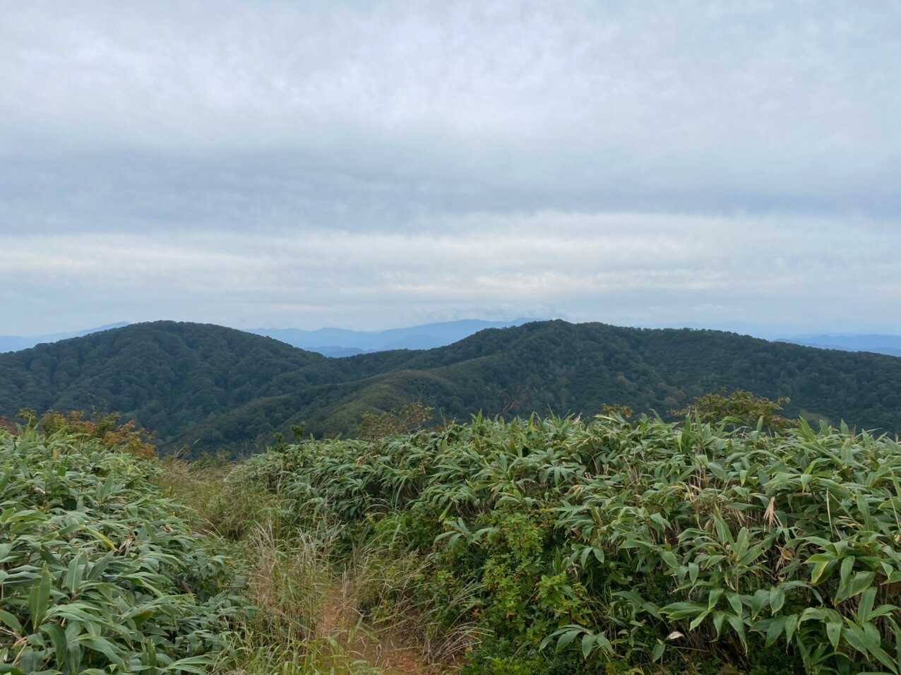 浄法寺山の写真
