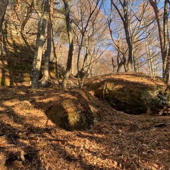 立石コース登山口から入山
最初の奇岩、亀岩