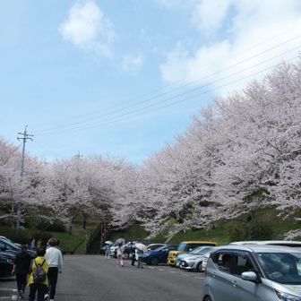 開山着
なんかすげーね
駐車場は当然の満車で車は90分待ちとか言ってました…
きゅきゅきゅきゅーじゅっぷんて！
一方通行なので並んだら最後、諦めてもどうにもならない罠。
ご愁傷様です。
自転車は問題無し🚲