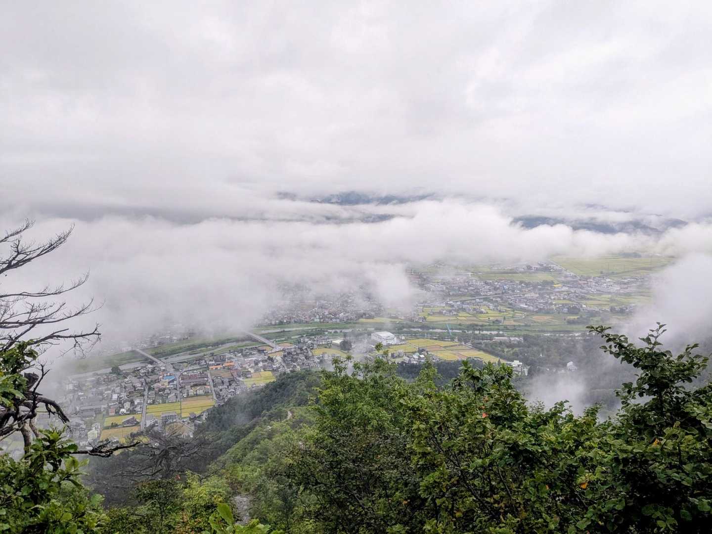 坂戸山周回 | 春にカタクリが咲き誇る、上杉景勝・直江兼続ゆかりの山城跡の写真
