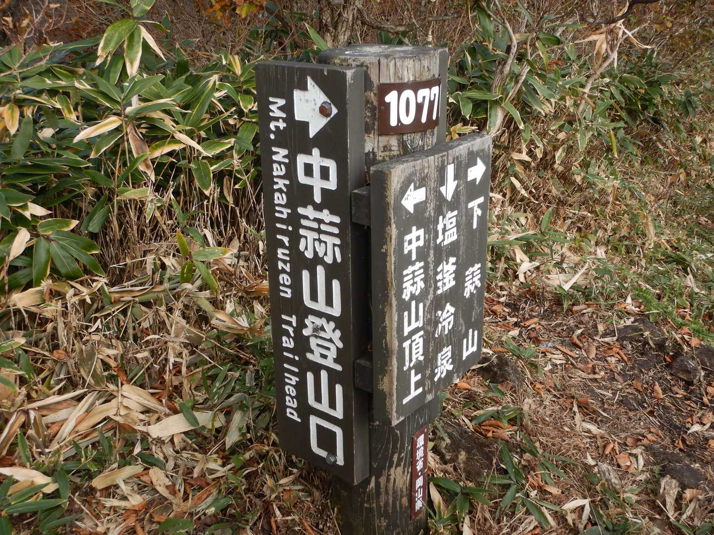 ここから塩釜へ下ります。
この道は、結構急で粘土質なので、滑りやすいです😰
滑りにくい箇所を選んで慎重に下ります。