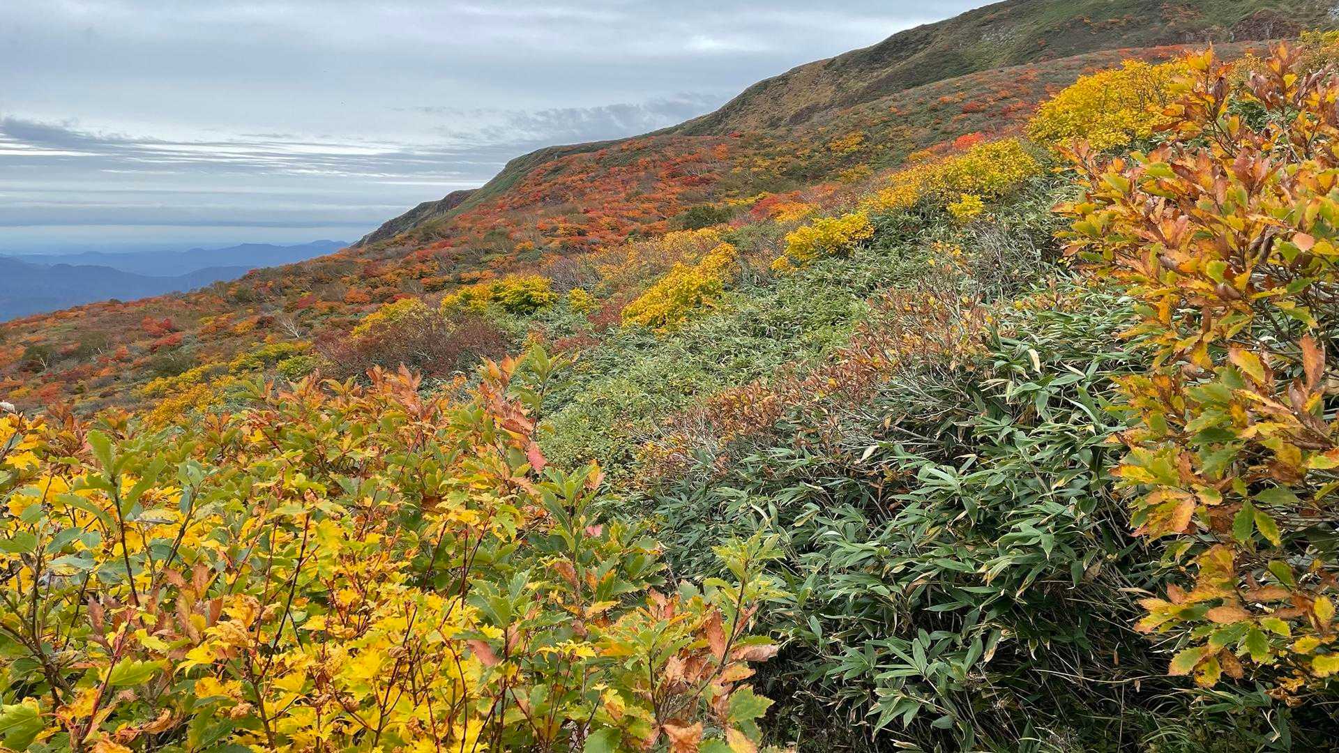 つぶ沼登山口-焼石岳 往復コースの写真