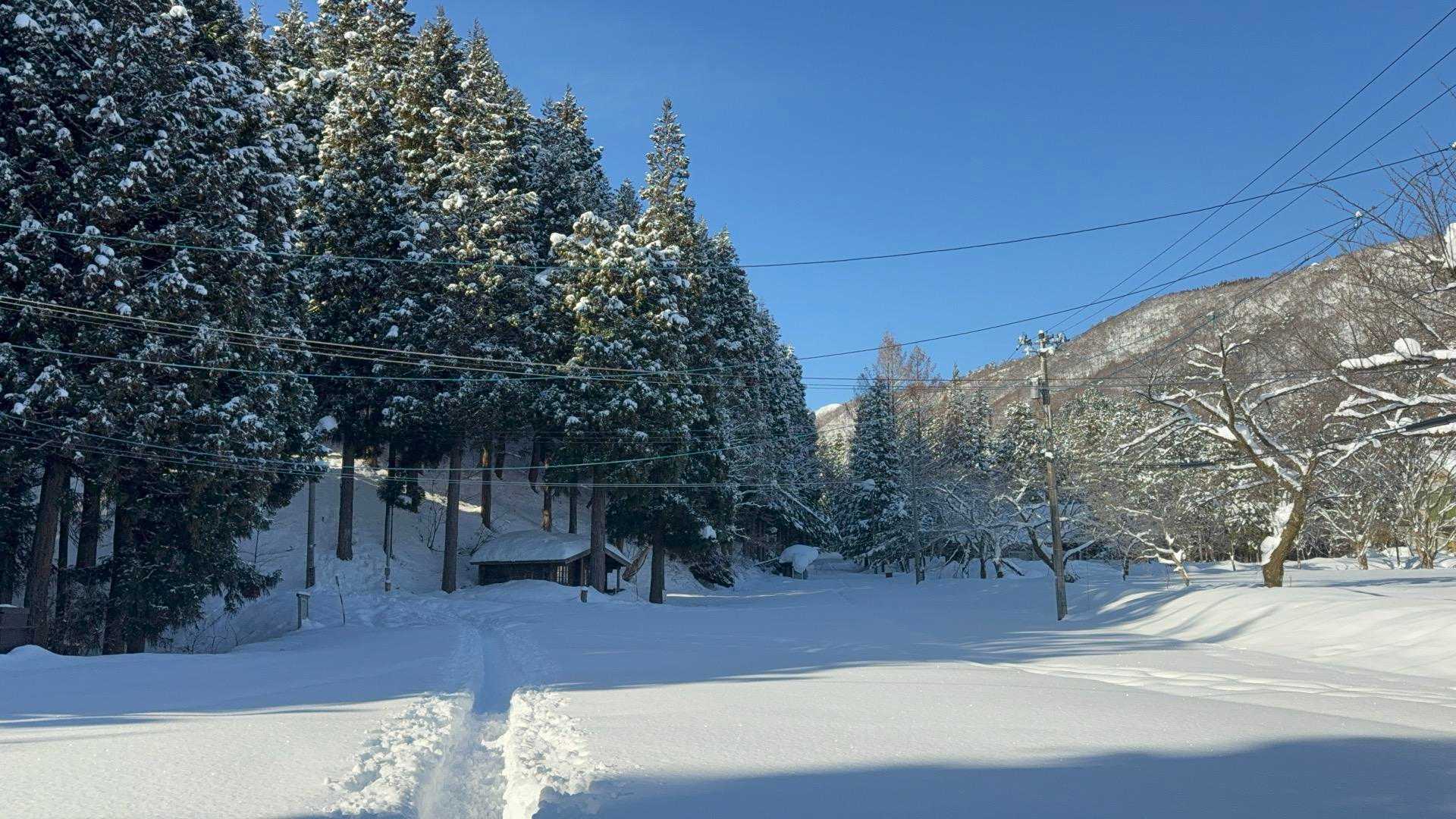 登山口着、快晴です☀️
