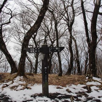 三国山山頂　展望なし