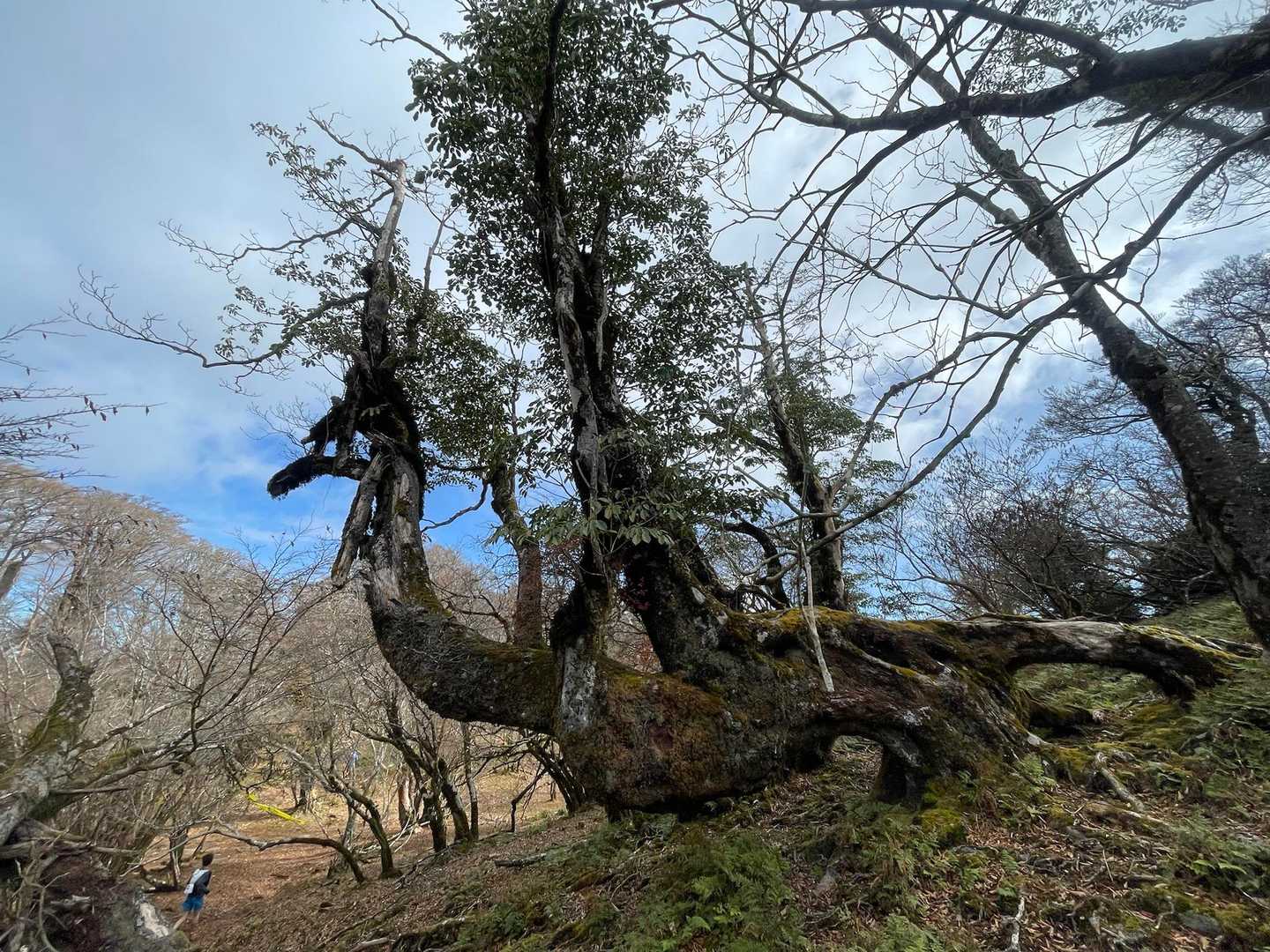 定点観測
今にも飛び立ちそう