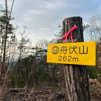 結構長い直登(急ではない)登った感じしました