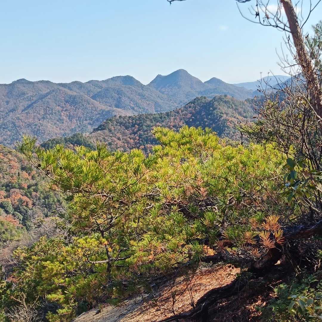 ここから見ると、いつもとは逆に見える宰相ケ岳と羽束山と甚五郎山なんだね🤗