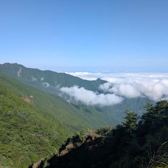権現越では　雲海の上
気持ちよかったです
ただし滝汗💦