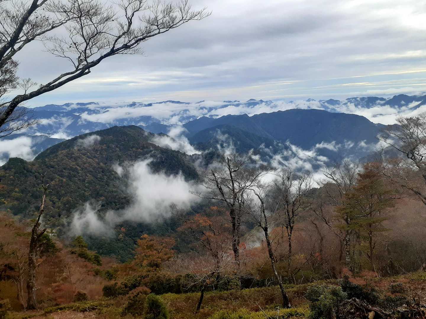 行仙岳-笠捨越-笠捨山 周回コースの写真
