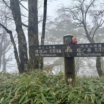 日高を通過しました👣