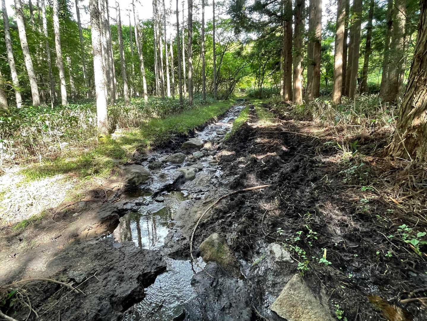 ちょっと進むと　雨の名残りか？
　道が小川状況💦💦