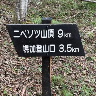もう5時だ
なんとか陽が暮れるまでには行きたい