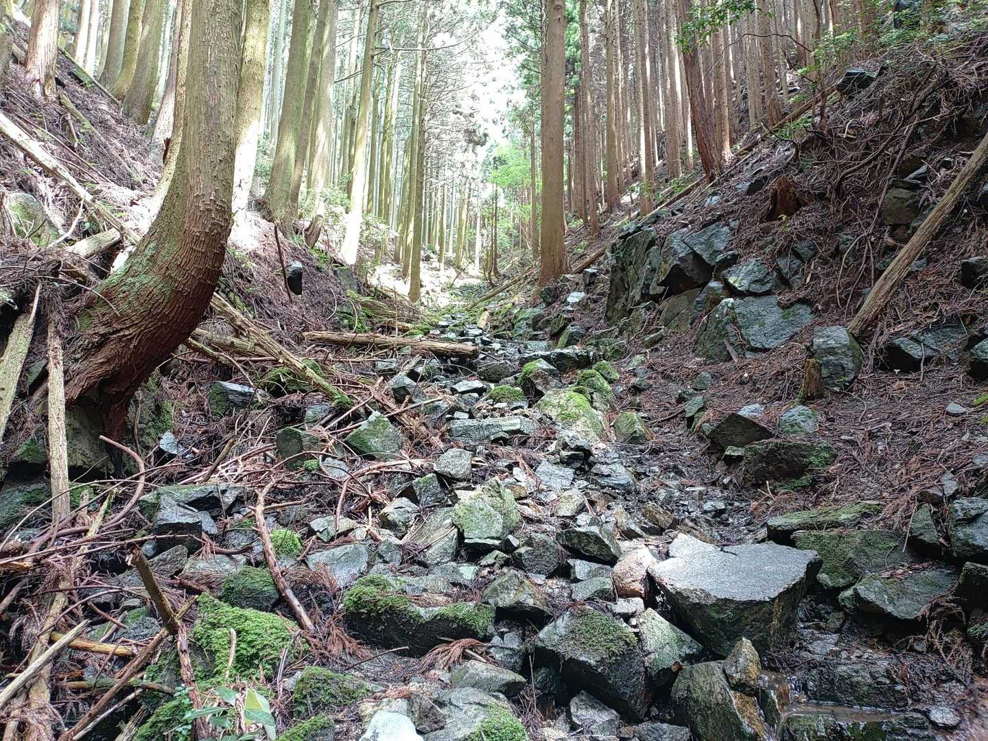 国分寺-国分寺山-明星ヶ岳 往復コースの写真