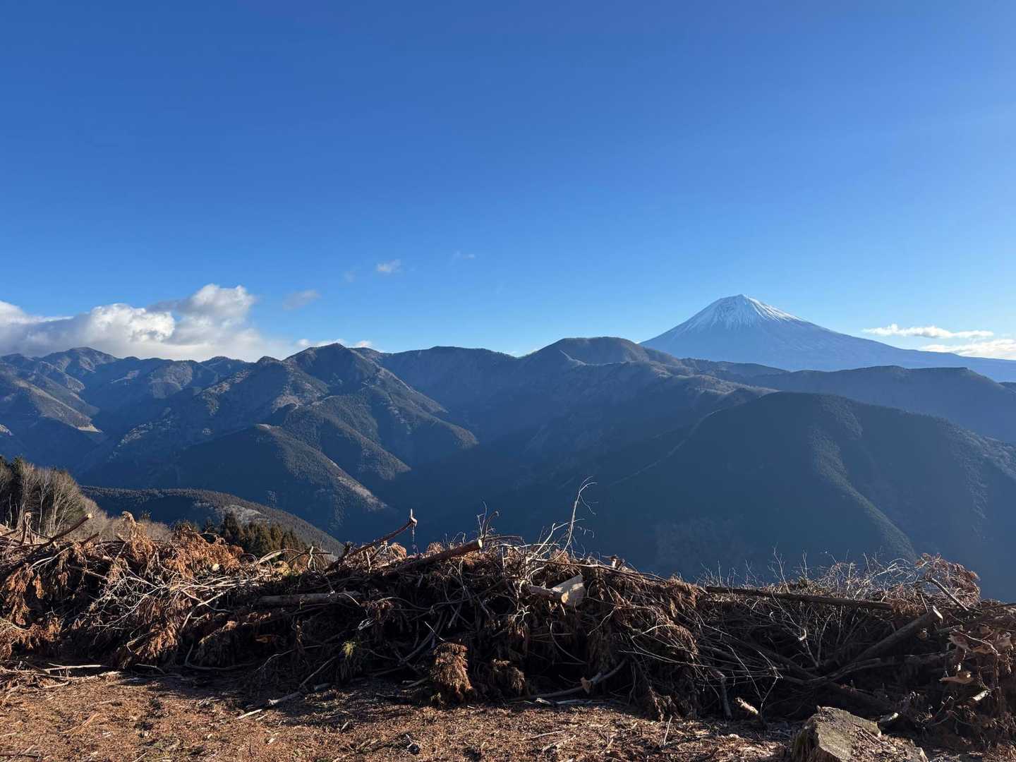 佐野峠-思親山-大島峠-三石山 周回コースの写真