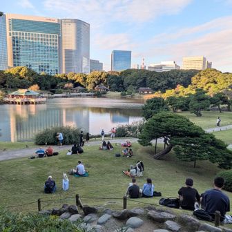 大勢の人がくつろいでいました
今回、思っていたより見どころ多くとても楽しめました
ご覧いただいてありがとうございました🤗