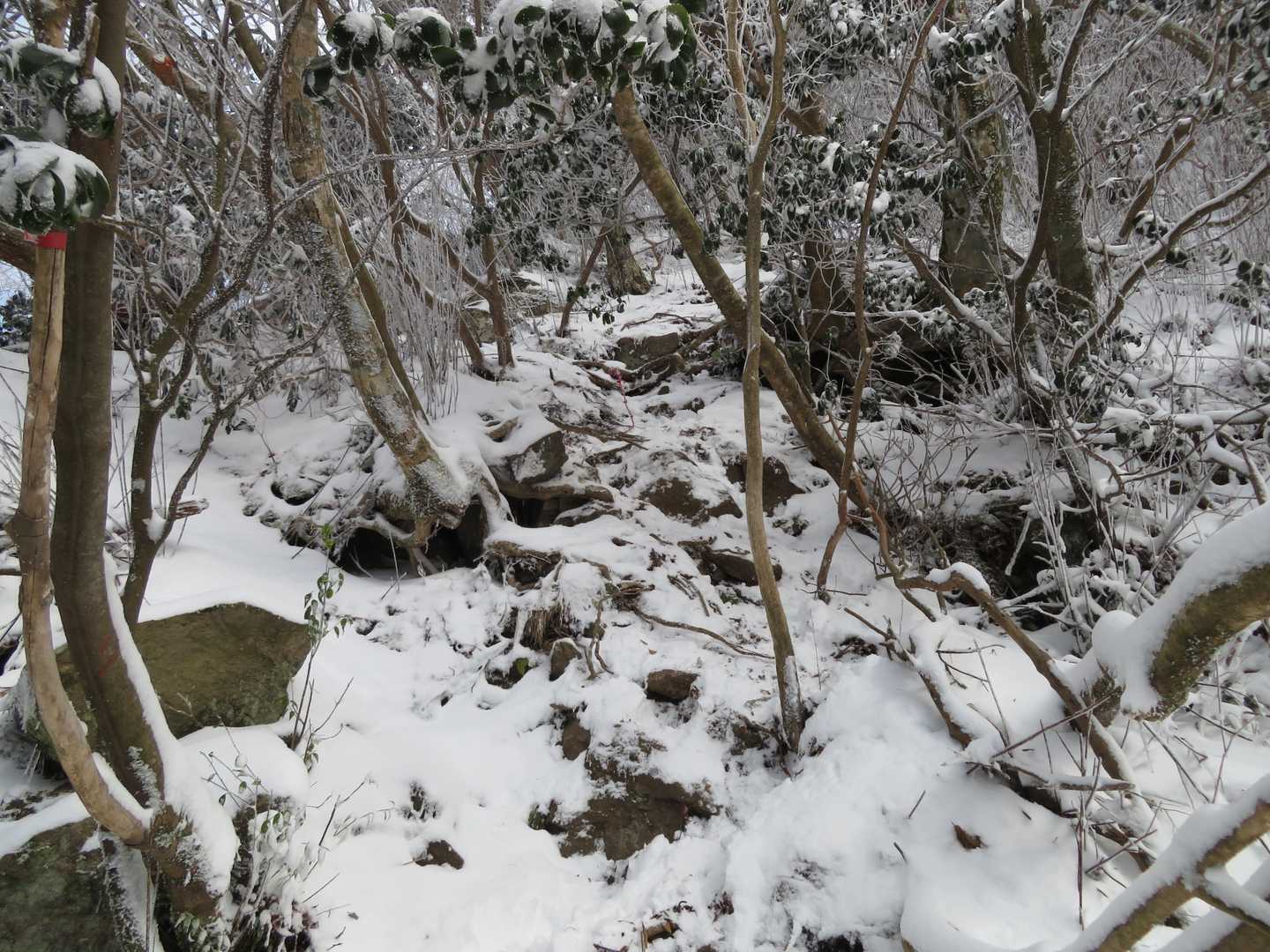 南岳へ　怖い登山道を登ります。