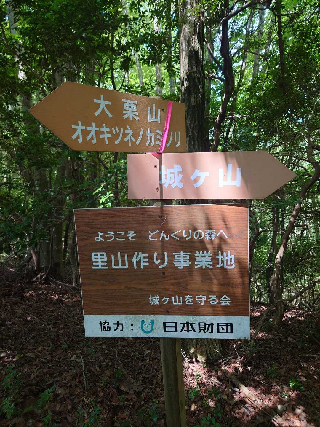 里山作り事業地だそう▲