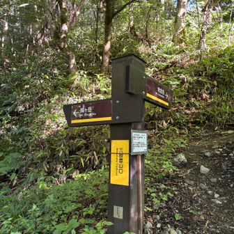蝶ヶ岳へむかいます