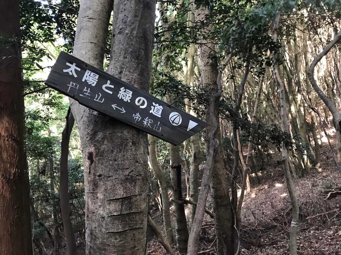 所々こんな案内板があり迷う事は無いです。