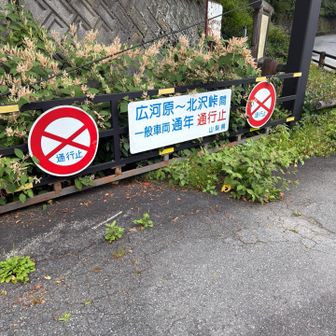やる気のない
林道
一生通行止めやろな

南アルプス
やる気出せよ💢

廃道多くね

長野だと
2コースやし