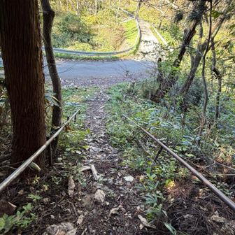 しかし現実に戻ります
アスファルトが見えましたー
