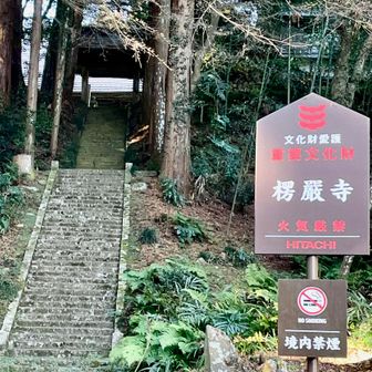 シダが茂り苔むした古い石段