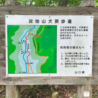 犬戻歩道は通り抜けられない
もう少し先まで行けるように書いてあったけど今回はパス