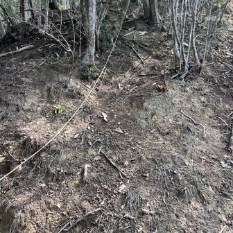 山頂直下は、ロープのある急登。
キツイ〜😣