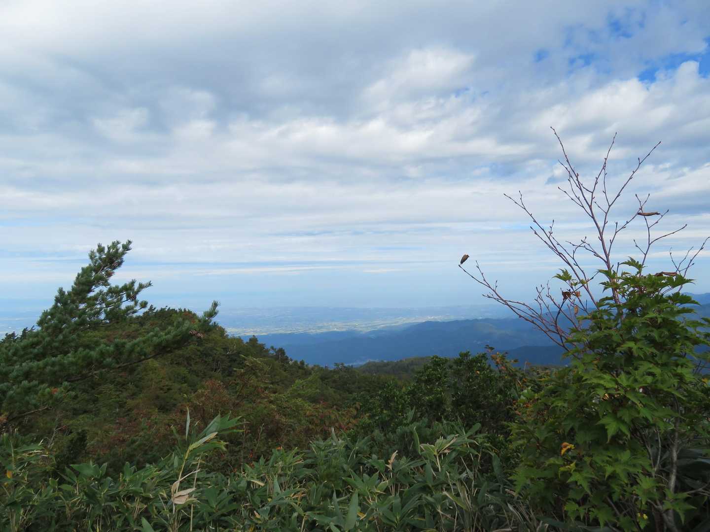鉢伏山 往復コースの写真