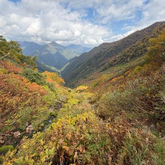 ２日目は八の沢出合いまでテントを下ろす。