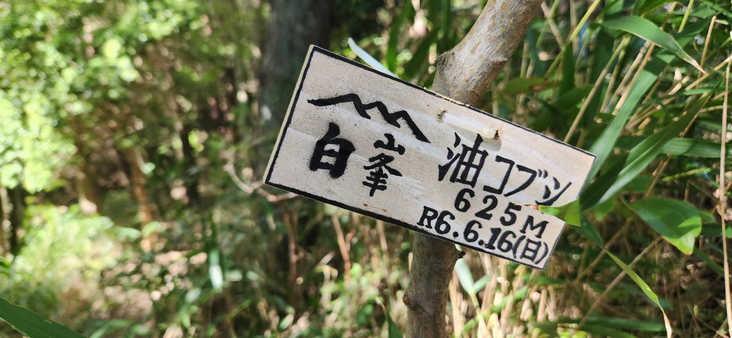 汗だく汁だくで到着！このプレートは、摩耶山のと同じやつやね！