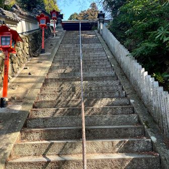 長い階段ってちょっと怖い