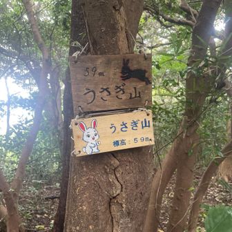 階段登り切ってあれ？標識ない？と少し探す。
ちょっと歩くと出てきました。わーい🙌🐰

ではでは、片瀬江ノ島駅へ戻ります♪