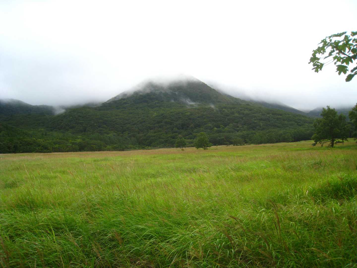 指山の山頂は雲に覆われています。
