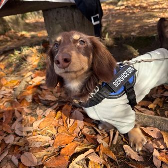 今日は俺について来いとニヒルに笑う岳くん
