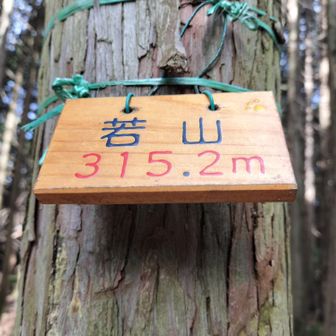 ４つある山頂看板のうちピークハンターさん作のこれが一番好き🥰