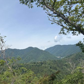 権現山方面
