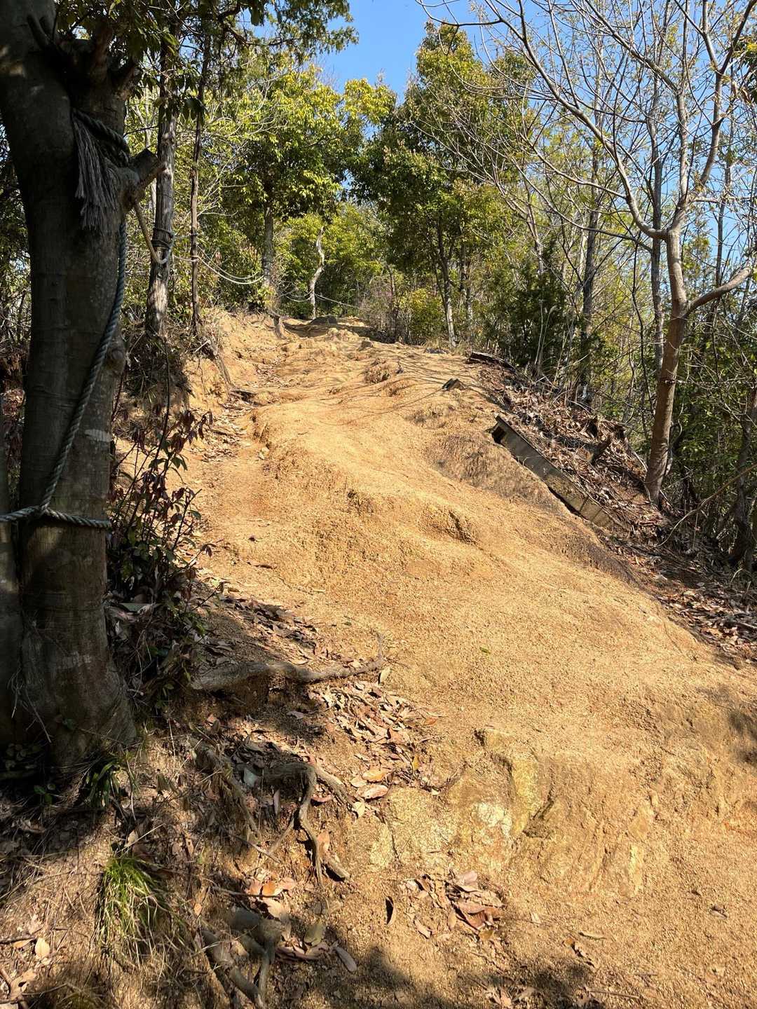 川柳坂の急登は日があたって暑い🥵