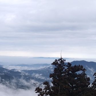 六甲❓️
近いし和泉山脈あたりかも🤩