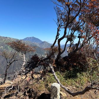 沢入山まで足を伸ばして(-.-;)y-~~~