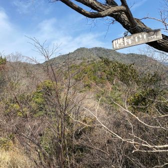 鷹尾山まで来ました。目指すのは☝️あの山です。